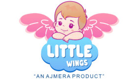 Little Wings